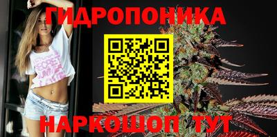 метадон Берёзовский