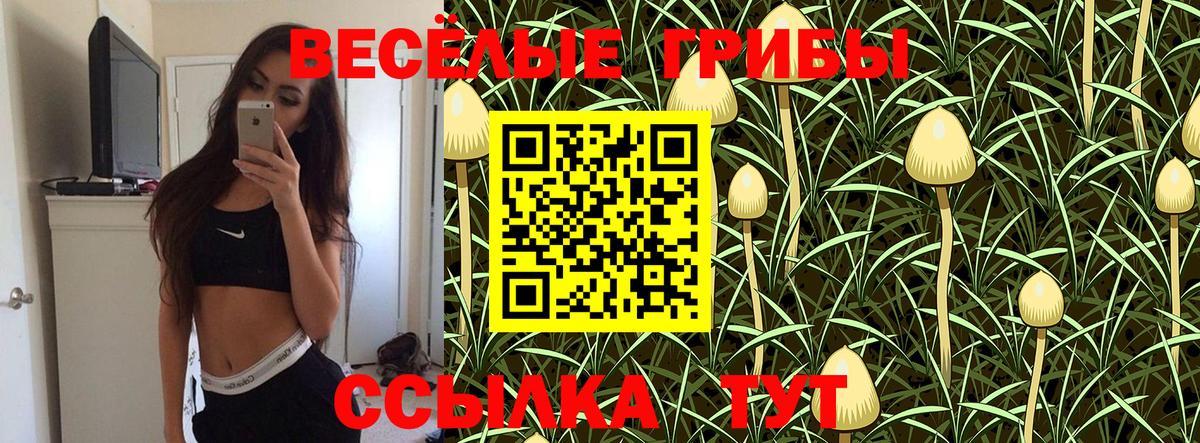 Псилоцибиновые грибы мицелий Качканар