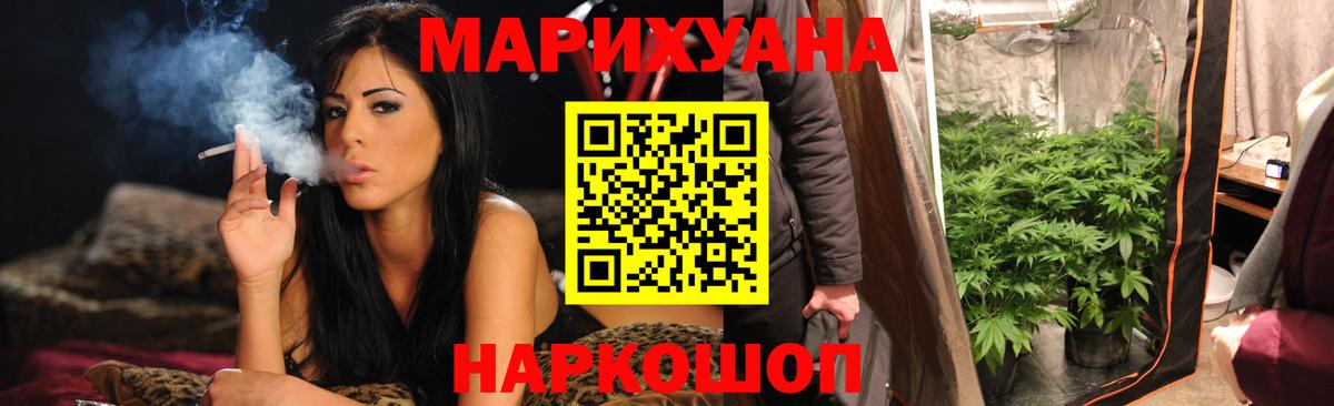 Каннабис планчик  Шишки марихуана гибрид  Марихуана индика  Вход с VPN  Качканар  Бошки марихуана тримм 